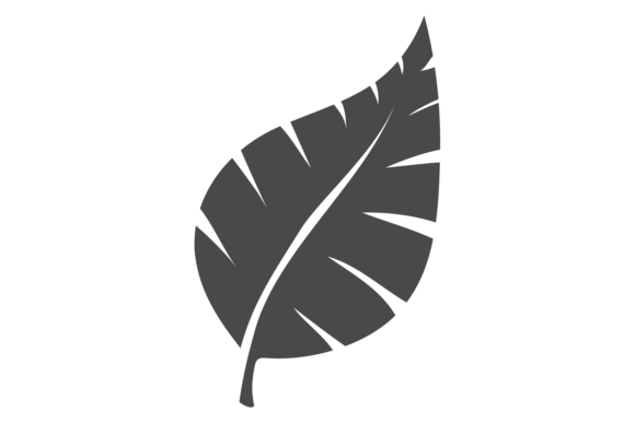Download Black Leaf Icon. Eco Symbol. Nature Sign - Nature sign Collection